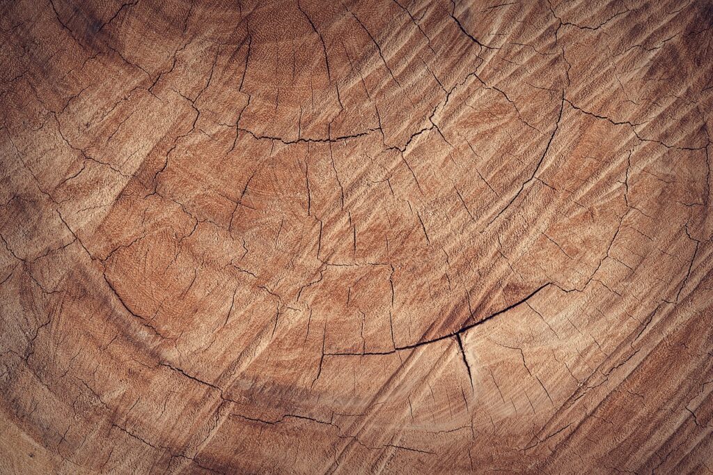 wood, floor, backdrop, background, wooden, beautiful wallpaper, desktop backgrounds, board, brown, carpentry, wallpaper 4k, decor, hd wallpaper, free wallpaper, hardwood, lumber, 4k wallpaper, cool backgrounds, laptop wallpaper, material, wallpaper hd, windows wallpaper, natural, oak, 4k wallpaper 1920x1080, old, mac wallpaper, free background, brown background, full hd wallpaper, brown wood